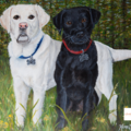 Haute Dauge Pet Portraits - Nationwide