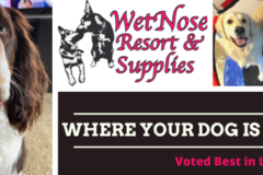 Request Quote: WetNose Resort and Supplies - Pet Boarding - Adrian, MI