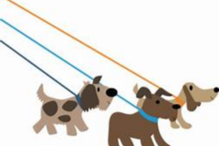 Request Quote: Pleasure of our Pets - Pet Sitting - Stafford, VA