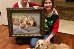 Request Quote: Molly Shirrell Pet Portrait Art - Nationwide