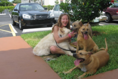 Request Quote: Karen Cares for Canine - Private Dog Trainer - Deerfield Beach, FL
