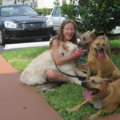 Karen Cares for Canine - Private Dog Trainer - Deerfield Beach, FL