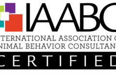 Request Quote: Dog's Play - Private Dog Training Services - Archer, FL