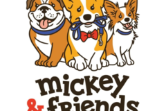 Request Quote: Mickey & Friends Dog Walks and Playdates LLC  - Fairfax, VA