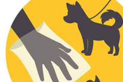 Request Quote: P.A.W.S. by STRIDE - Pet Waste Removal Service - Redding, CA