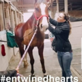 Entwined Hearts Equine & K9 - Lewisburg, TN