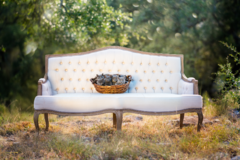 Request Quote: Fabulous Fur Pet Photography - Austin, TX