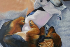 Request Quote: Pet Portraits by Robin White - Nationwide