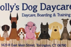 Request Quote: Dolly's Dog Daycare  - Torrington, CT