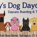 Dolly's Dog Daycare  - Torrington, CT
