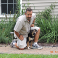 Alert K9 Training Solutions - Private In Home Dog Training - Hopewell Junction, NY