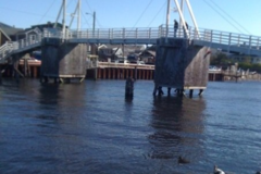 Request Quote: Reiki Rebecca - Animal Reiki Care - Nationwide