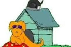 Request Quote: Shasta's Dog House Pet Sitting and Care Services  - Fort Collins, CO