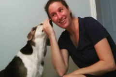 Request Quote: Fins Animal Training - Certified Dog Trainers - Savannah, GA