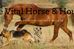 Request Quote: The Vital Horse & Hound - Canine and Equine Massage  - Wilmington, NC
