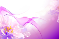 Request Quote: Peyton Lansaw - In Home Pet Sitter - Albany, GA