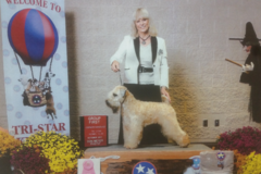 Request Quote: Sit & Stay Dog Care - Boarding and Mobile Grooming - Christiana, TN
