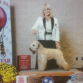 Sit & Stay Dog Care - Boarding and Mobile Grooming - Christiana, TN