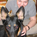 Back in Harmony - Animal Reiki Care - Nationwide