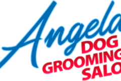 Request Quote: Angela Dog Grooming Salon - San Mateo, CA