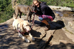 Request Quote: Dog Walking and In Home Pet Sitting - Merrimac, WI