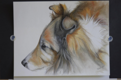 Request Quote: Mountain Designs - Dayton Nevada Pet Portrait Artist - Nationwide