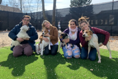 Request Quote: Tails N’ Trails Pets LLC - Dog Walking Service - Pawtucket, RI