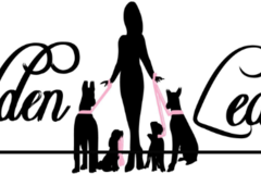 Request Quote: Golden Leash - Pet Boarding, Dog Walking, Pet Daycare - Las Vegas, NV