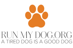 Request Quote: Run My Dog - In Home Pet Sitting Services - Alexandria, VA