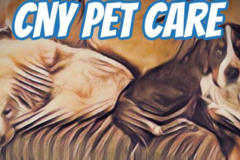 Request Quote: CNY Pet Care Pawvider  - Clay, NY