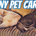 CNY Pet Care Pawvider  - Clay, NY