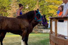 Request Quote: Pet Caretaker - Vet Grad Student - Pet Sitter and Dog Walker - Savoy, IL