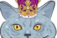 Request Quote: Kitty Kingdom - Cat Boarding Service - Nashville, TN