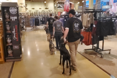 Request Quote: FidelityK9 - In Home Private Dog Training - Omaha, NE