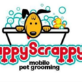 Happy Scrappy Mobile Pet Grooming - San Antonio, TX