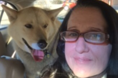 Request Quote: 5D Energy Therapy - Animal Reiki - Nationwide