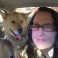 5D Energy Therapy - Animal Reiki - Nationwide