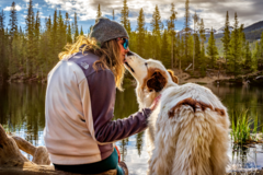 Request Quote: Adventure Pup Photography - Canine Photographer - Arvada, CO