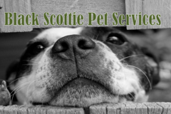 Request Quote: Black Scottie Pet Sitting Services  - Fayetteville, NC