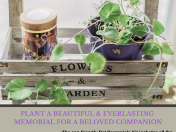 Pet Perennials Craft Kit - Create a Living Memorial