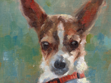 Chihuahua Mixed with Red Collar, 6 x 6 inches oil on canvas panel