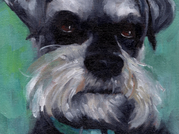 Commissioned oil painting of an Irish Terrier, 10 x 8 inches on stretched canvas