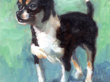 Commissioned dog painting of a chihuahua mix, 8 x 6 inches oil on canvas panel