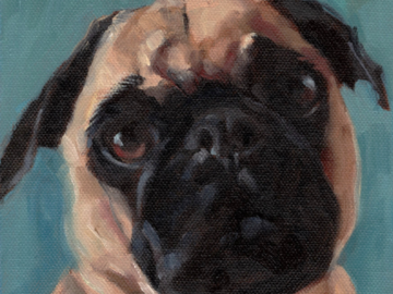 Commissioned painting of a bull dog, 8 x 8 inches oil on stretched canvas