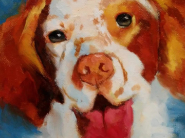 Commissioned painting of a brittany spaniel, 8 x 8 inches oil on stretched canvas