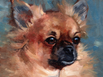 A oil painting of a long haired chihuahua