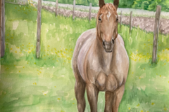 Request Quote: Etsy Artist Masie Kuh - Pet Portrait Paintings - Nationwide