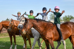Request Quote: Wichita Riding Academy - Horse Boarding - Derby, KS
