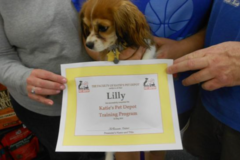 Request Quote: Paws for Applause - Positive Private Dog Training - East Brunswick, NJ