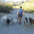 Happy DOG Private Training - La Quinta, CA